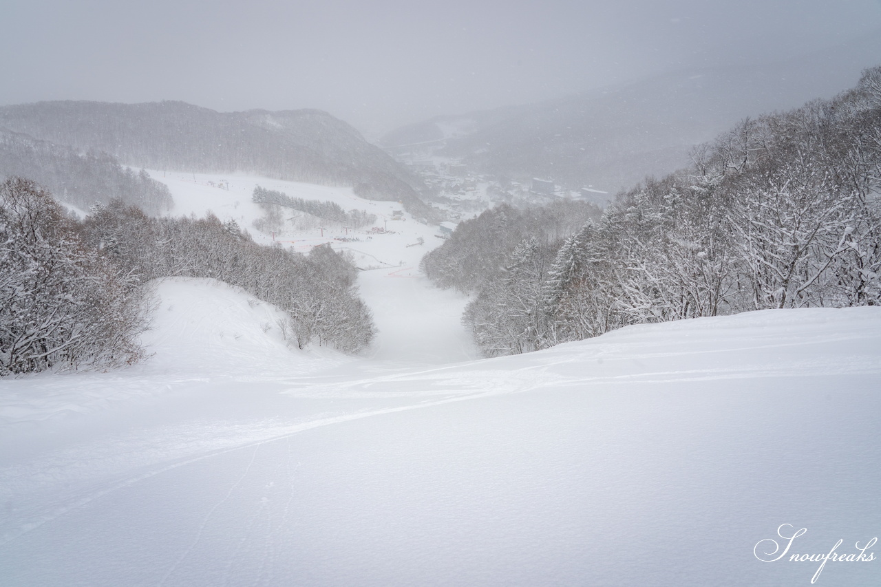 片岡嵩弥 - Takaya Kataoka - Powder Photo Session 2026 in ASARI